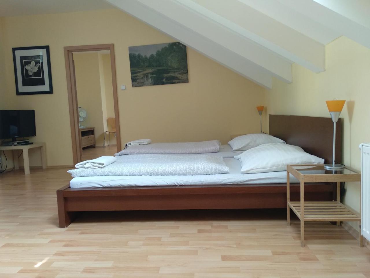 Pinkas Apartament *